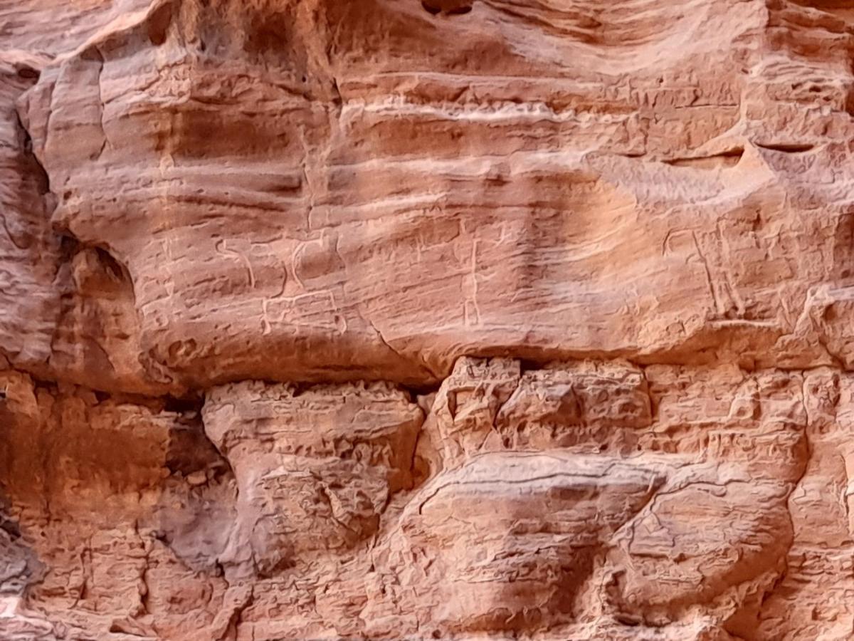 Wadi Rum Camels Camp Εξωτερικό φωτογραφία